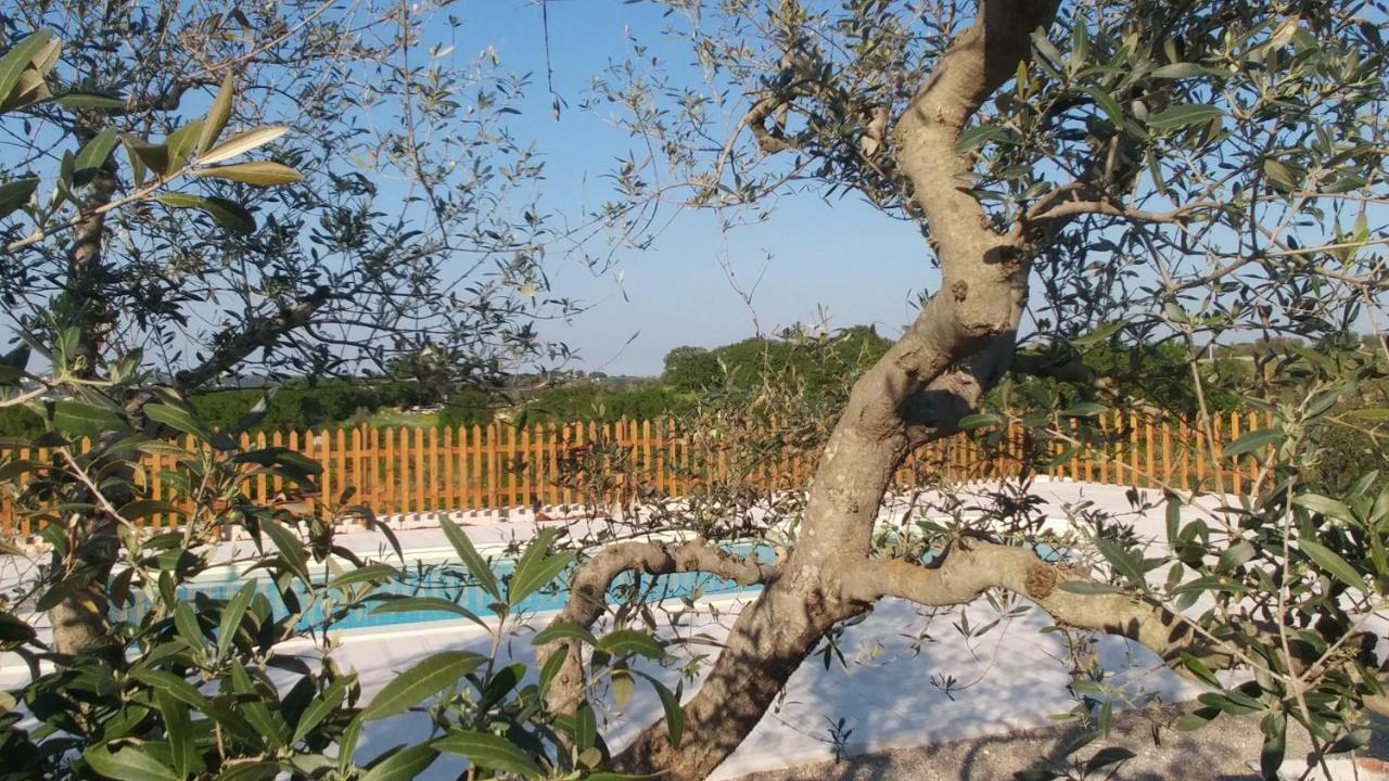 Il Carpino Villa Martina Franca Luaran gambar