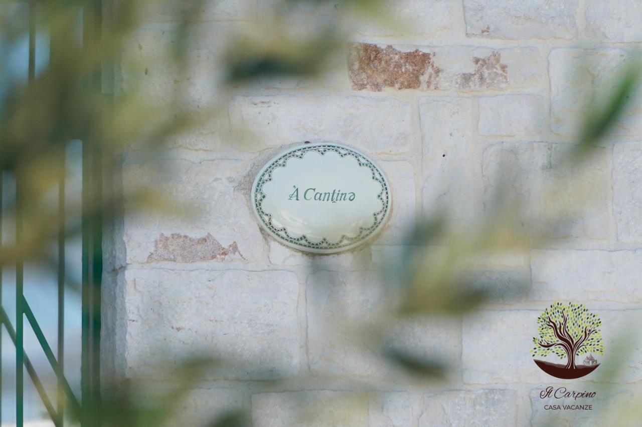 Il Carpino Villa Martina Franca Luaran gambar
