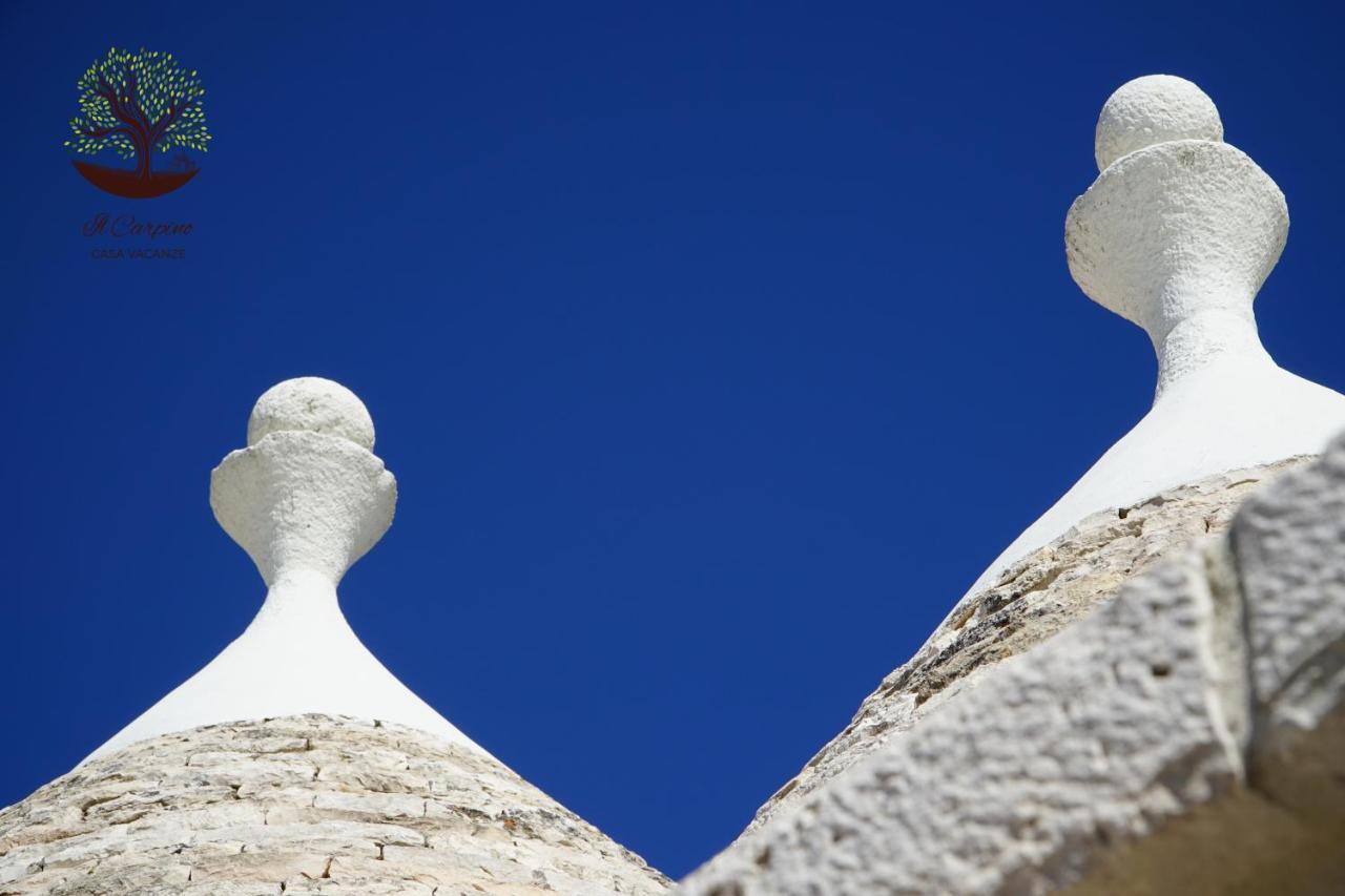 Il Carpino Villa Martina Franca Luaran gambar